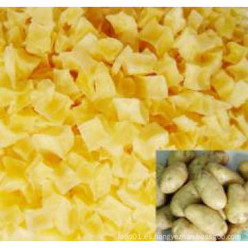 China nueva cosecha buena calidad deshidratada escamas de patata